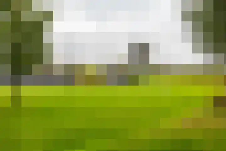 Florakade 408 Groningen thumbnail 25