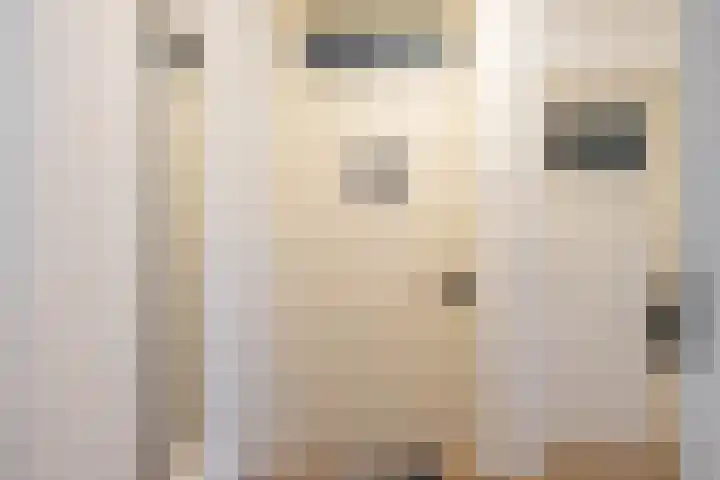 Florakade 408 Groningen thumbnail 6
