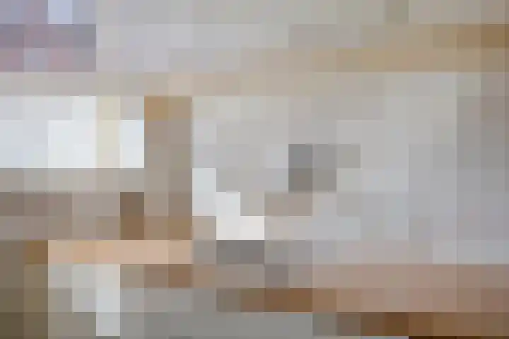 Florakade 416 Groningen thumbnail 22