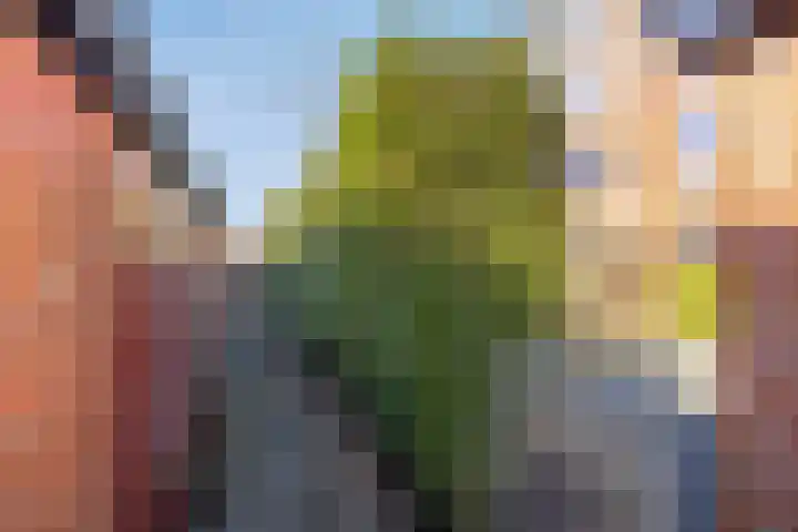 Florakade 416 Groningen thumbnail 39