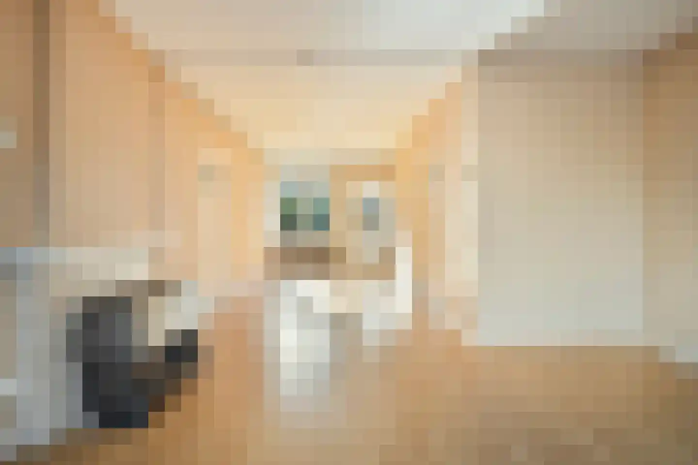 Florakade 418 Groningen thumbnail 20