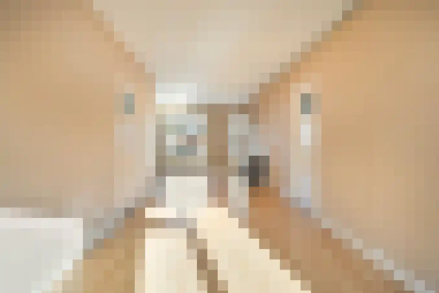 Florakade 418 Groningen thumbnail 22