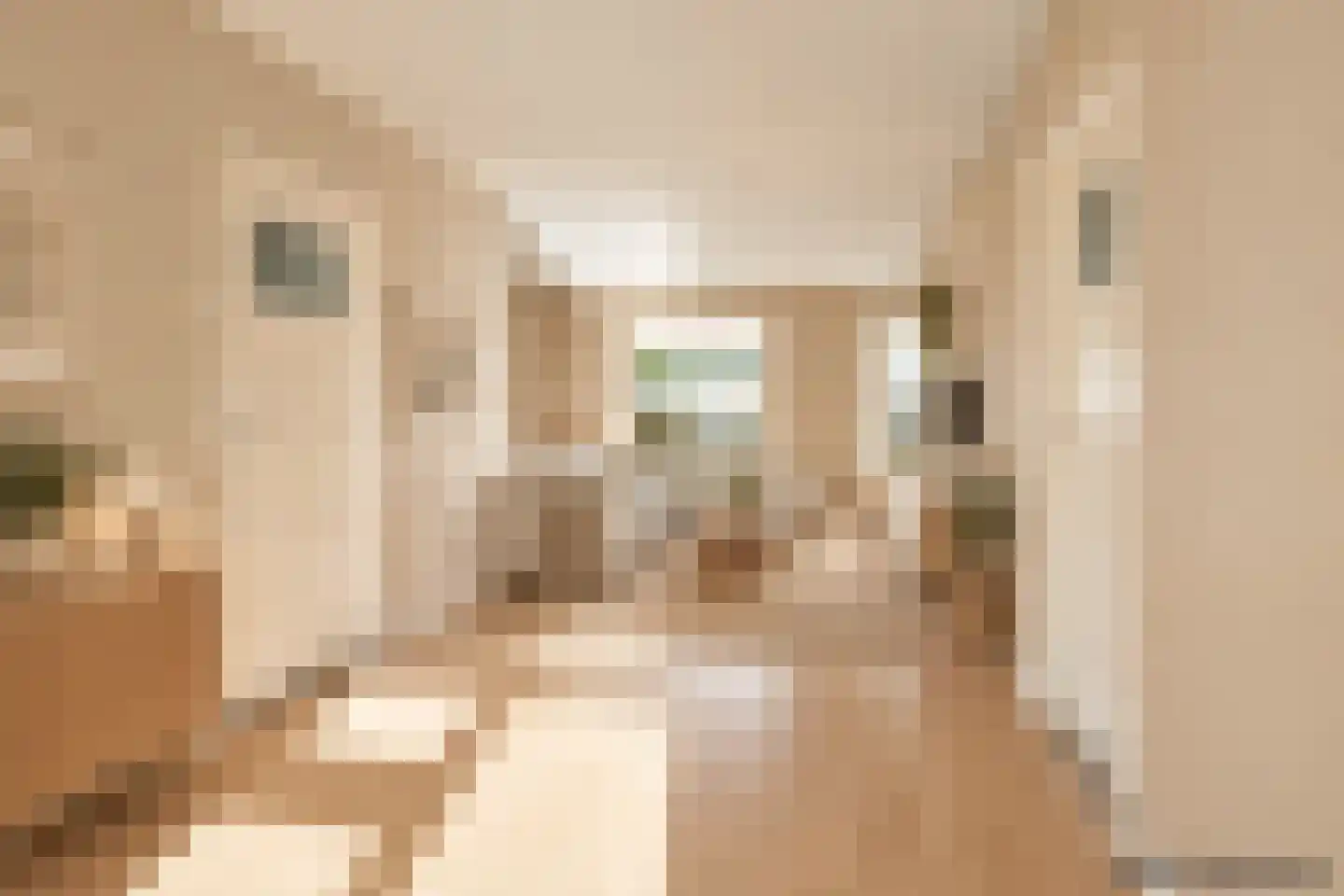 Florakade 418 Groningen thumbnail 4
