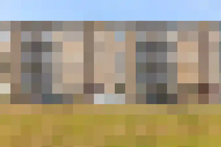 Florakade 472 in Groningen