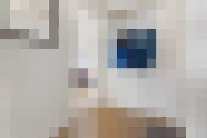 Florakade 472 Groningen thumbnail 17