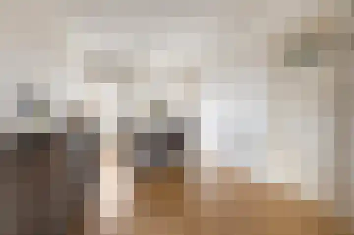 Florakade 472 Groningen thumbnail 22