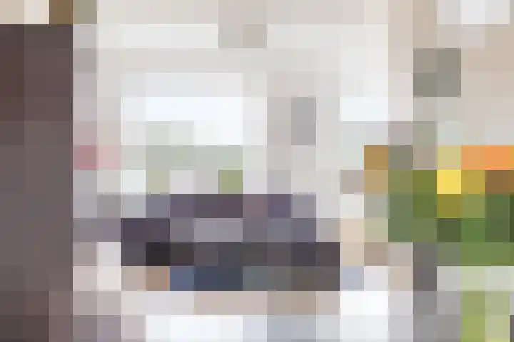 Florakade 472 Groningen thumbnail 25