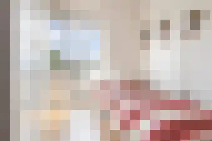 Florakade 472 Groningen thumbnail 29