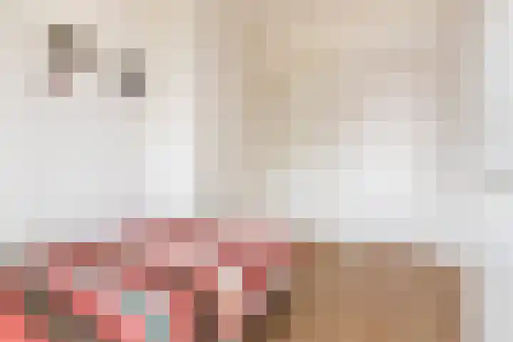 Florakade 472 Groningen thumbnail 30