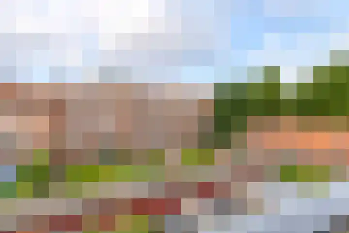 Florakade 472 Groningen thumbnail 35