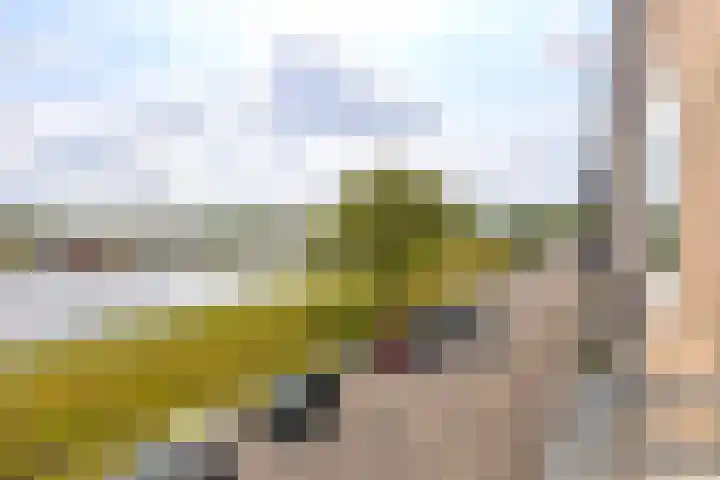 Florakade 472 Groningen thumbnail 37
