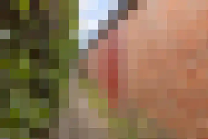 Florakade 472 Groningen thumbnail 38