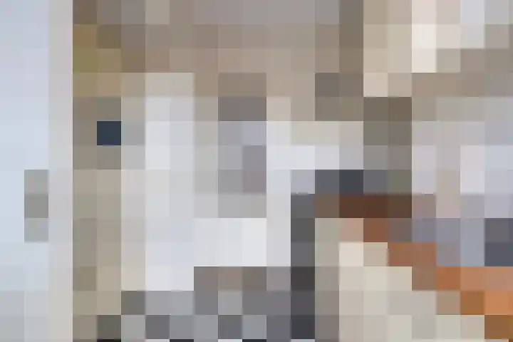 Florakade 478 Groningen thumbnail 12