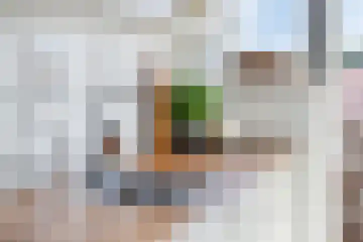 Florakade 478 Groningen thumbnail 14