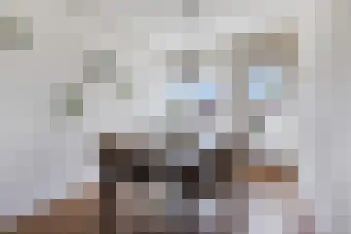 Florakade 478 Groningen thumbnail 26