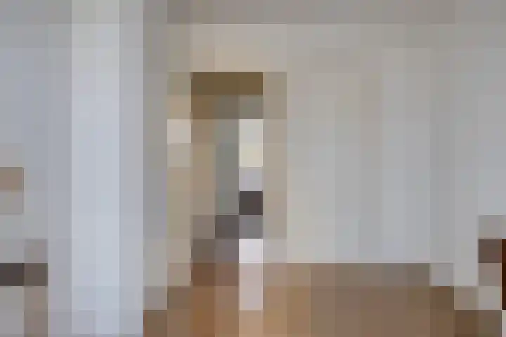 Florakade 478 Groningen thumbnail 28