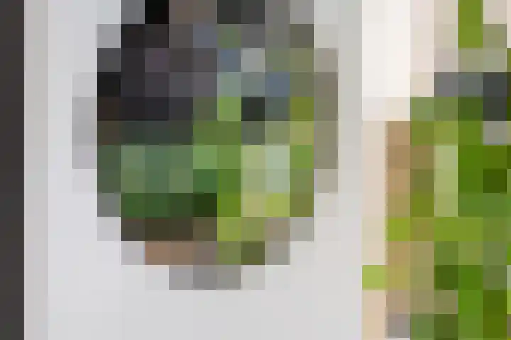 Florakade 534 Groningen thumbnail 15