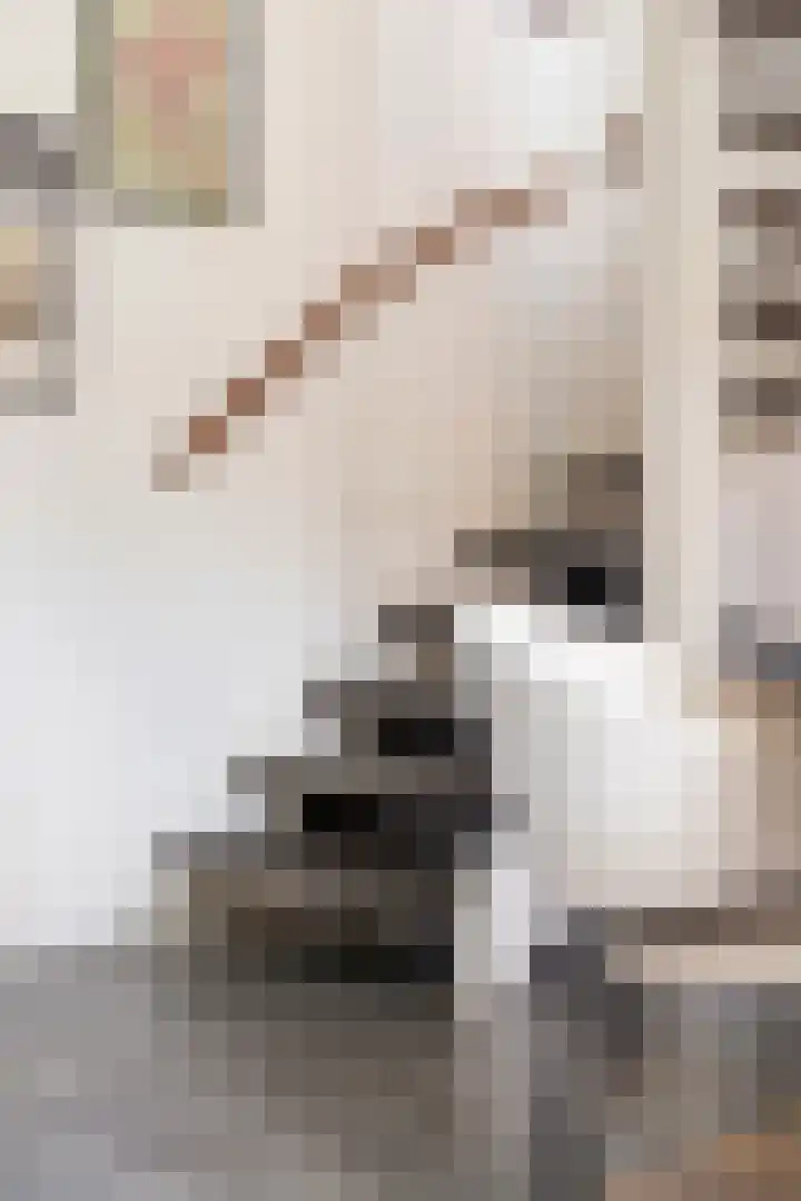Florakade 534 Groningen thumbnail 19