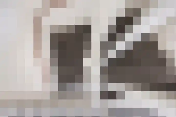 Florakade 534 Groningen thumbnail 27