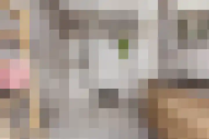 Florakade 534 Groningen thumbnail 32