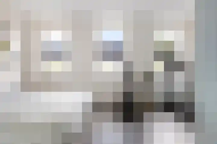 Florakade 534 Groningen thumbnail 37