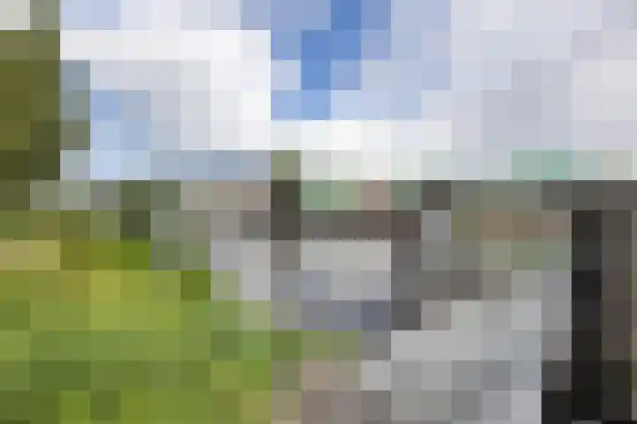 Florakade 534 Groningen thumbnail 47