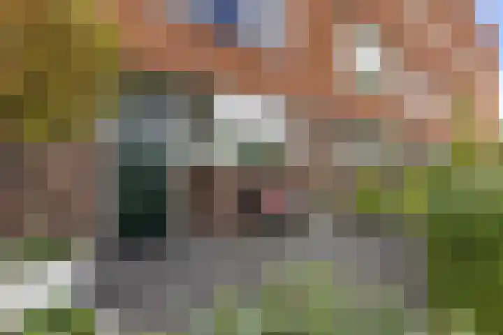 Florakade 534 Groningen thumbnail 7