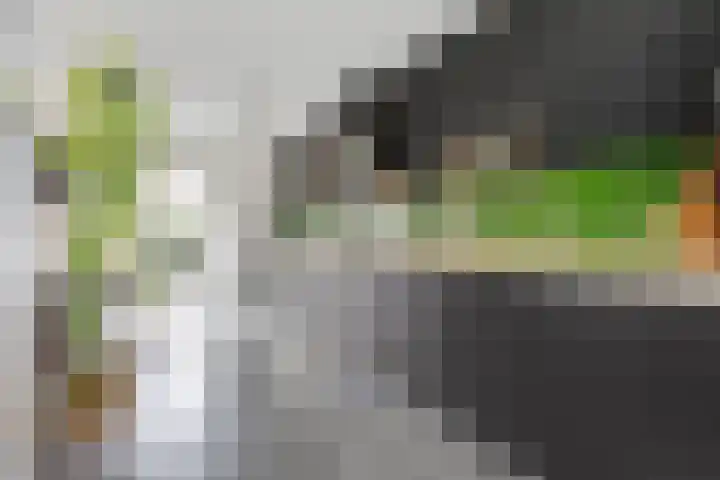 Florakade 534 Groningen thumbnail 9