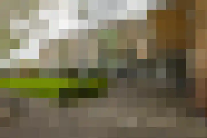Florakade 54 Groningen thumbnail 11