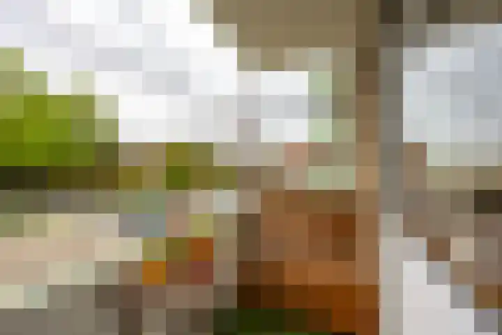 Florakade 54 Groningen thumbnail 27