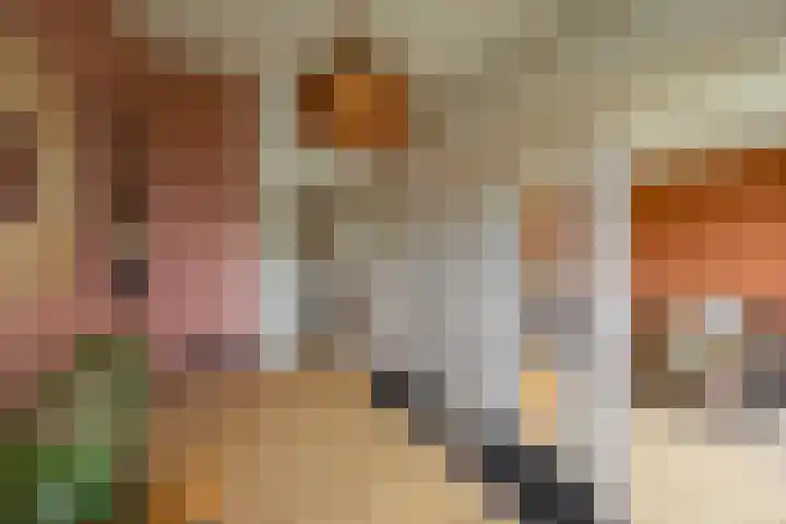 Florakade 54 Groningen thumbnail 33