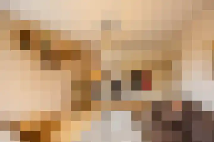 Florakade 54 Groningen thumbnail 42