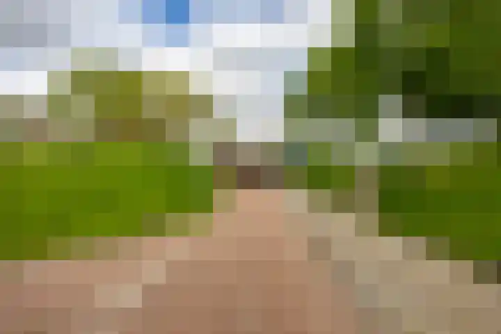 Florakade 54 Groningen thumbnail 9