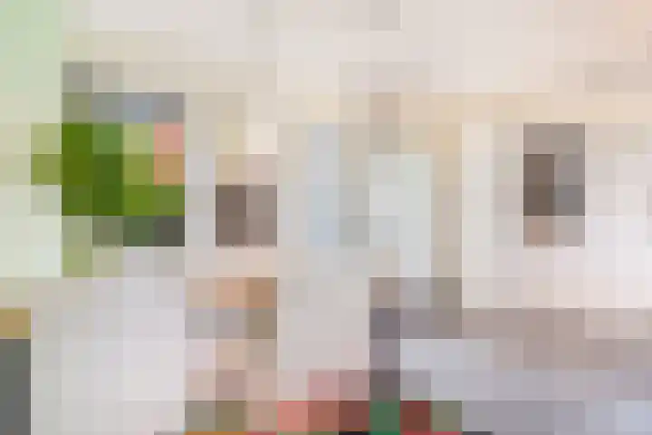 Florakade 544 Groningen thumbnail 17