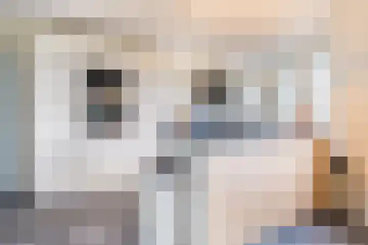 Florakade 544 Groningen thumbnail 19