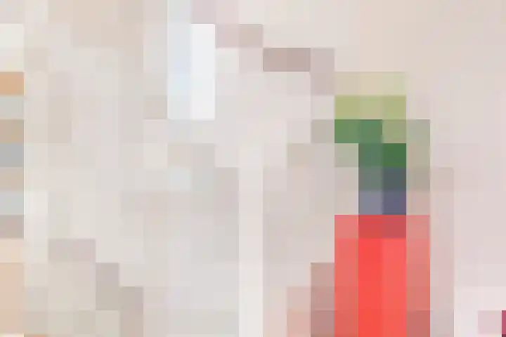 Florakade 544 Groningen thumbnail 33