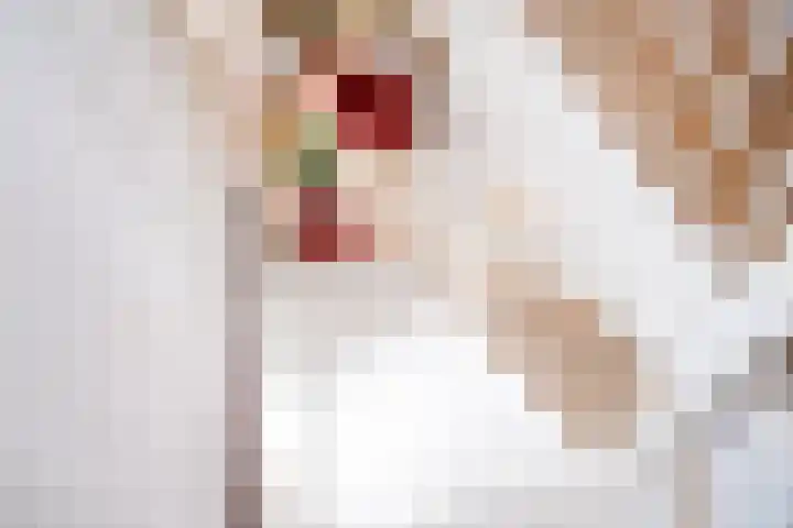 Florakade 544 Groningen thumbnail 34