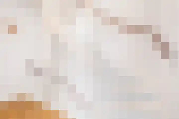 Florakade 544 Groningen thumbnail 44