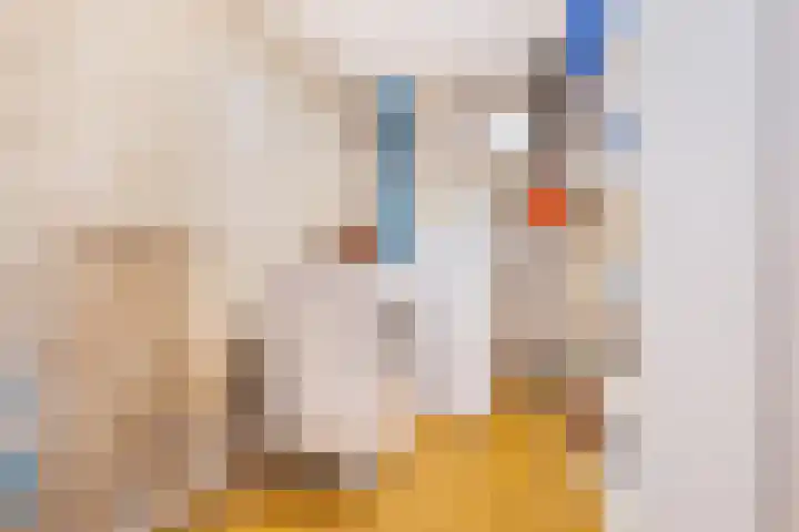 Florakade 544 Groningen thumbnail 50