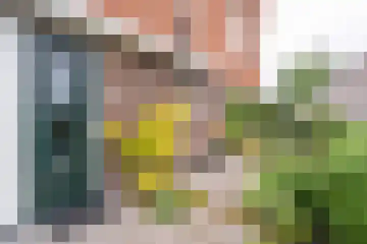 Florakade 544 Groningen thumbnail 58