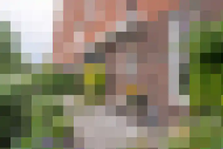 Florakade 544 Groningen thumbnail 59