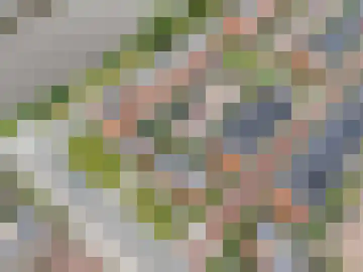 Florakade 544 Groningen thumbnail 62