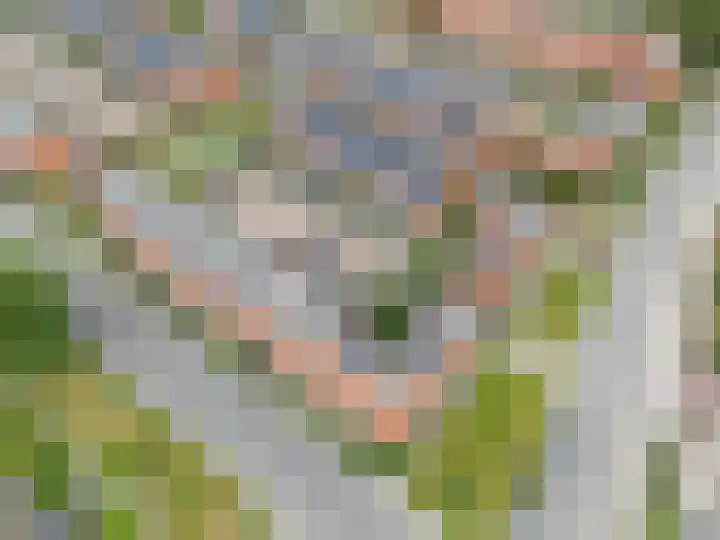 Florakade 544 Groningen thumbnail 63