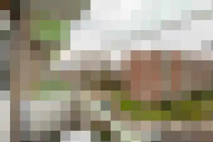 Florakade 72 Groningen thumbnail 24