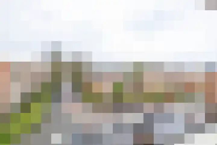 Florakade 72 Groningen thumbnail 25