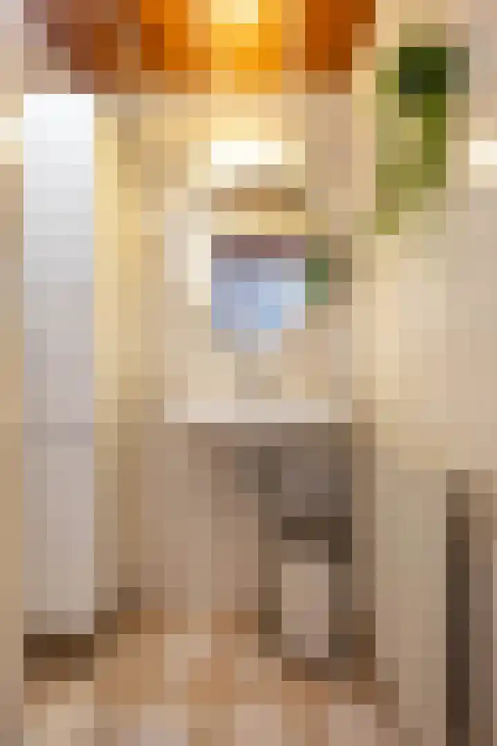 Florakade 72 Groningen thumbnail 28