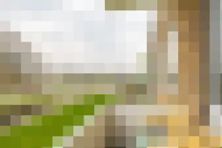 Florakade 72 Groningen thumbnail 34
