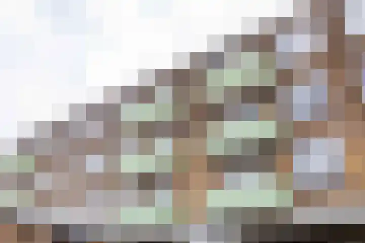 Florakade 72 Groningen thumbnail 41