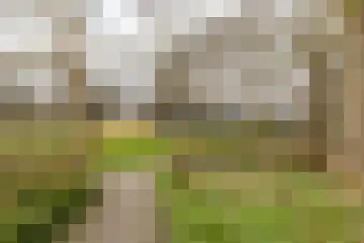 Florakade 72 Groningen thumbnail 43