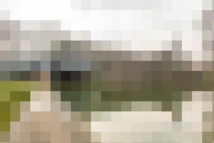 Florakade 72 Groningen thumbnail 44